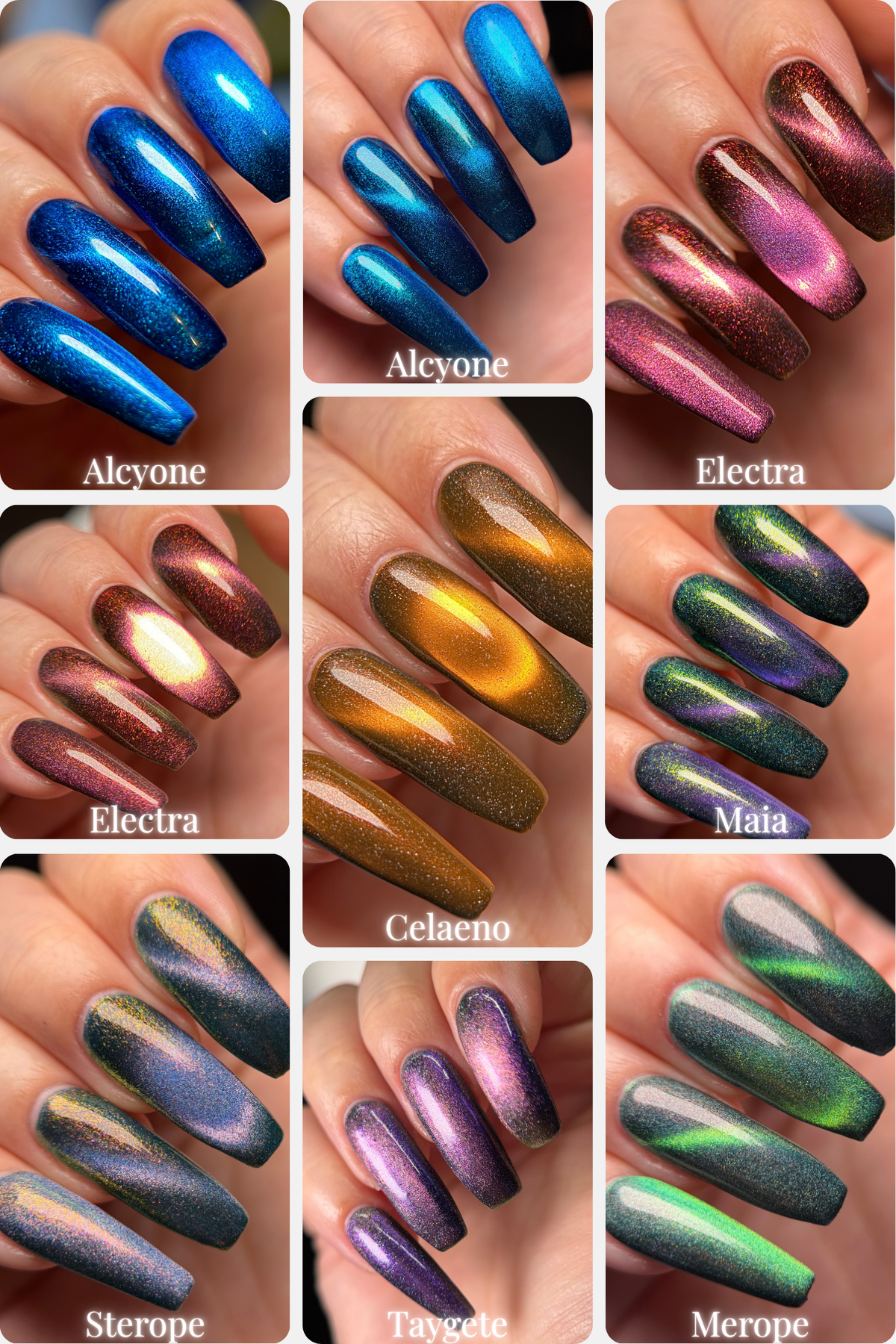 Pleiades Collection Bundle - Polished Praxis