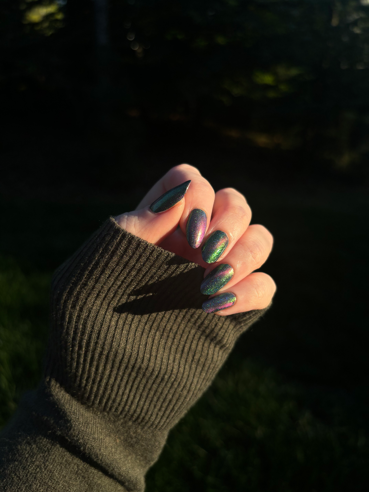 Maia