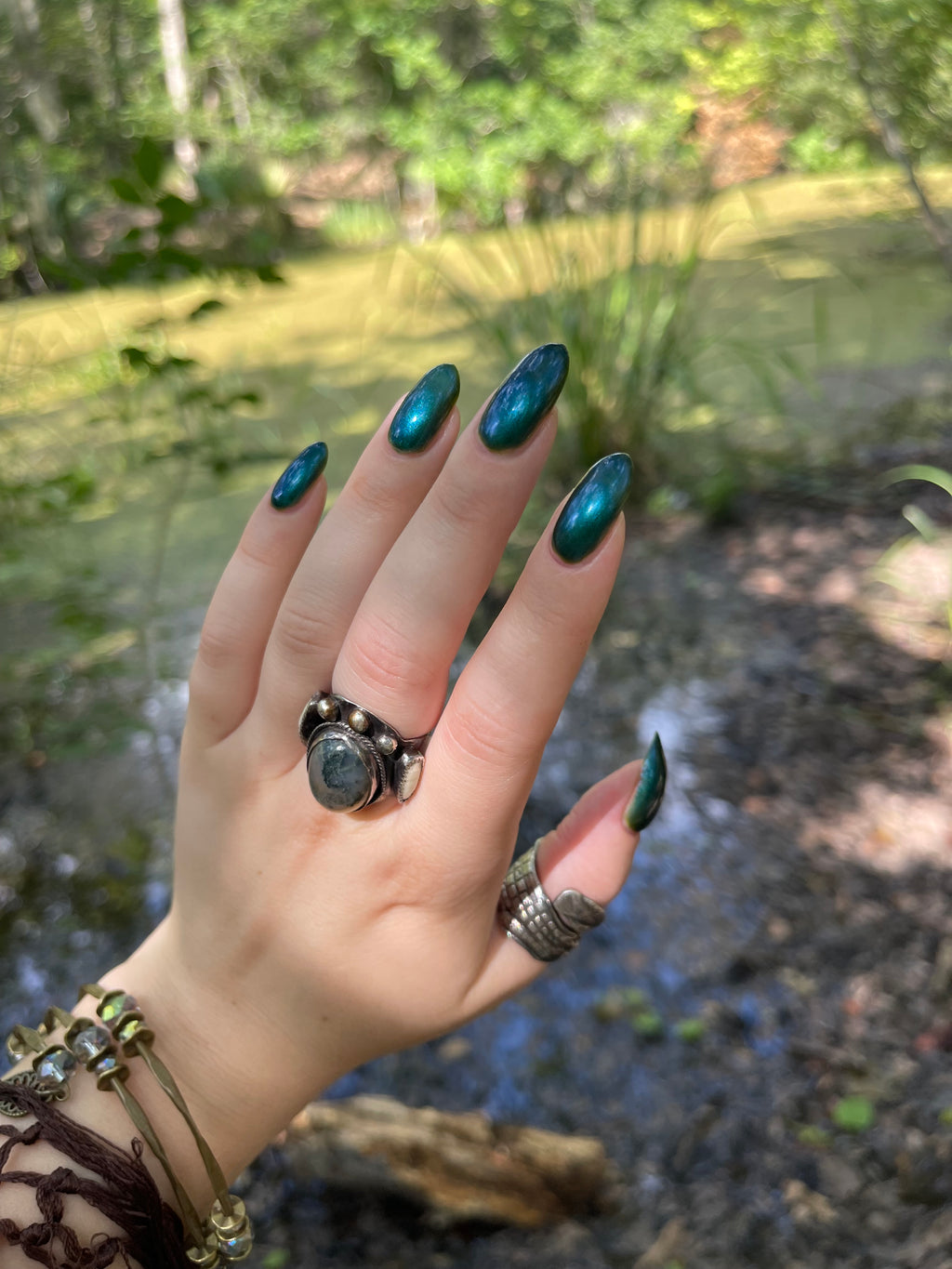 Swamp Water
