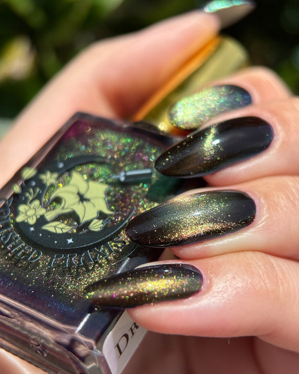 Dream World - Polished Praxis