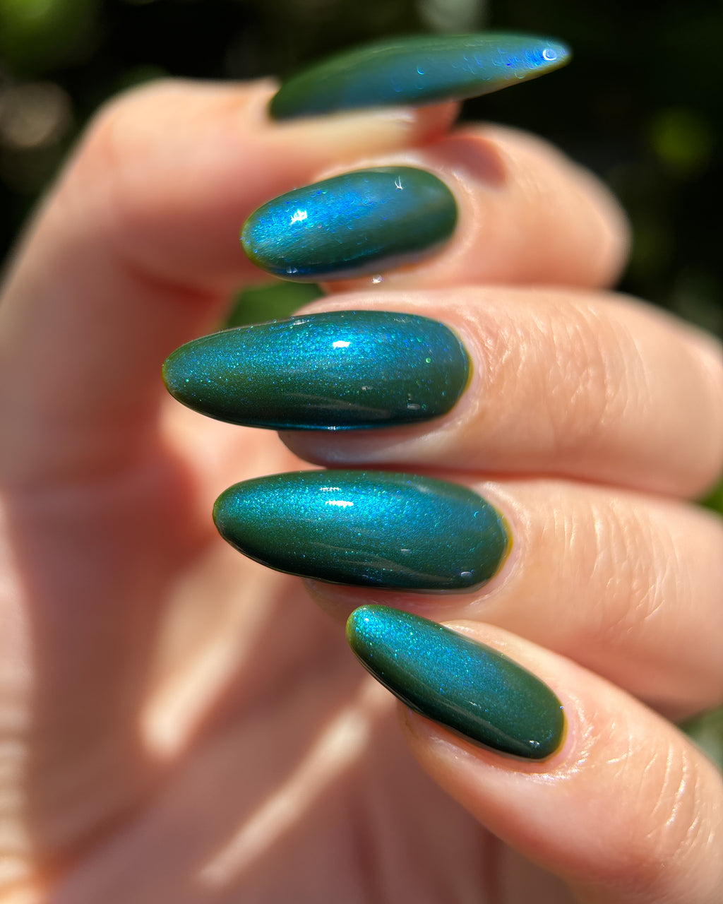 Swamp Water